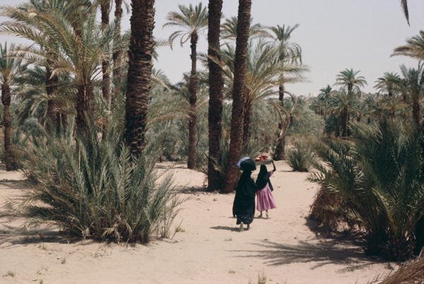 Two women in dark and pink clothes walking through a palm grove near Djanet