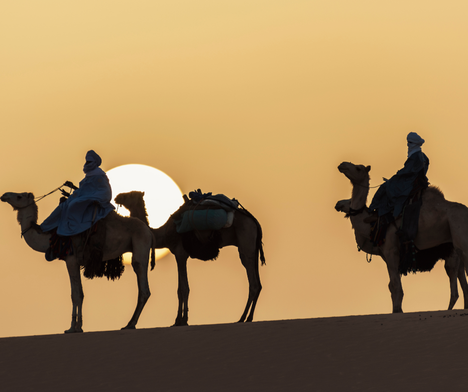 Tuareg riders on camels silhouetted against the setting sun on a Sahara dune