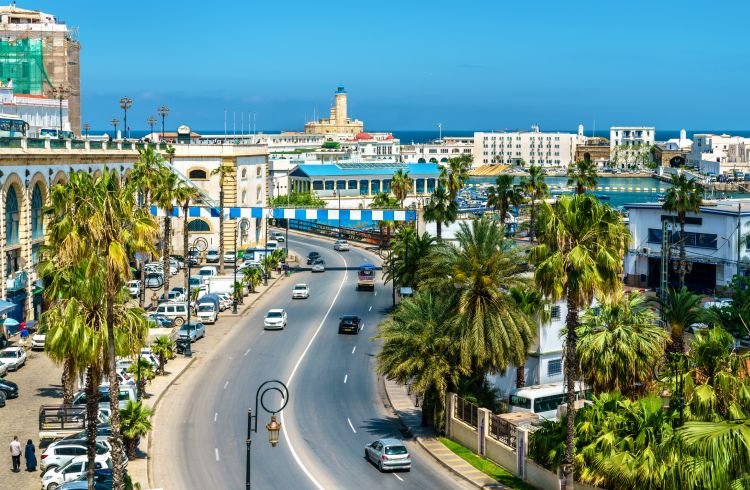 Palm-lined waterfront boulevard in Algiers with the port and the Admiralty lighthouse