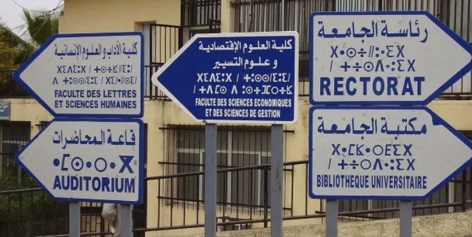 University signposts in Arabic, Tifinagh and French on an Algerian campus