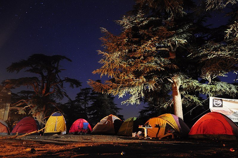 Camping tents lit up at night under tall cedar trees at Theniet El Had