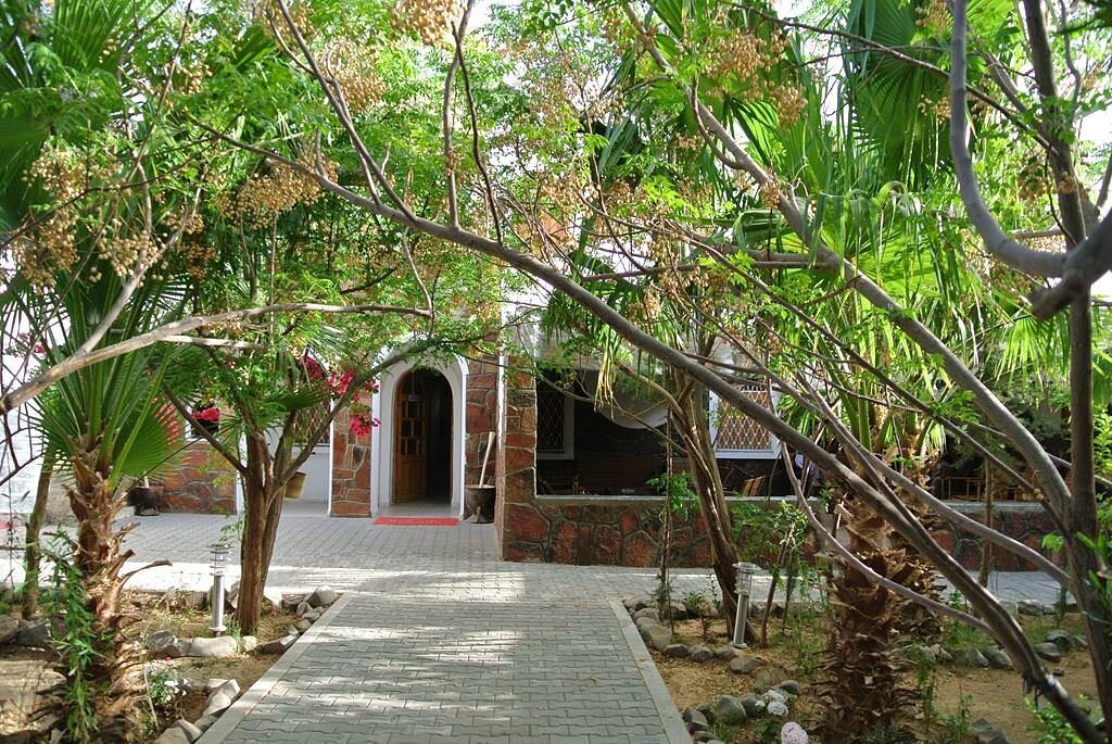 Garden path through palms and shady trees to a stone guesthouse in Djanet