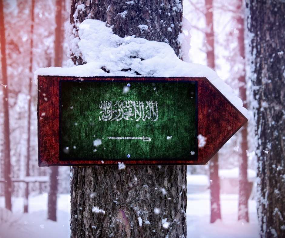 Saudi Arabia Flag