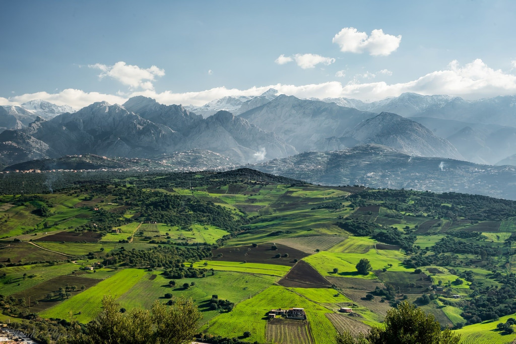 Green terraced fields below the snowy peaks of the Djurdjura in Kabylie