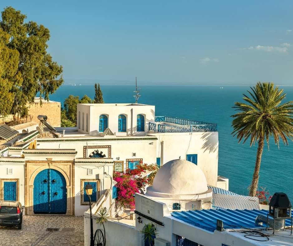 Traditional houses in Sidi Bou Said