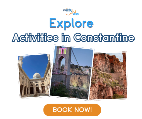 WildyNess banner inviting readers to explore activities in Constantine, with three Constantine photos