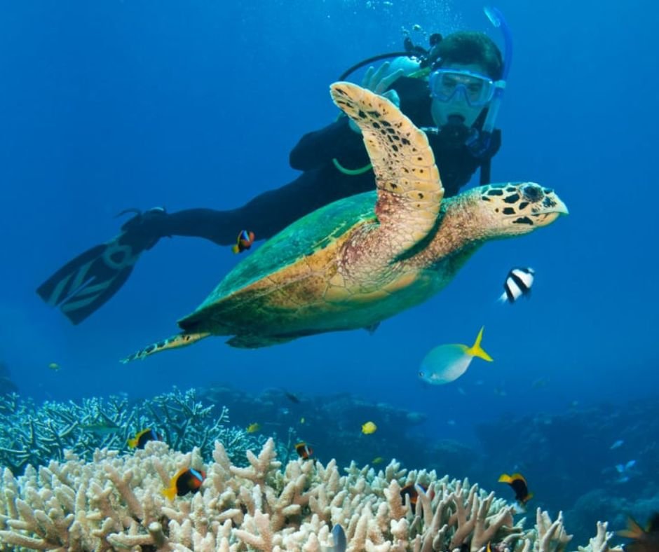 Visibility-underwater-in-Fujairah