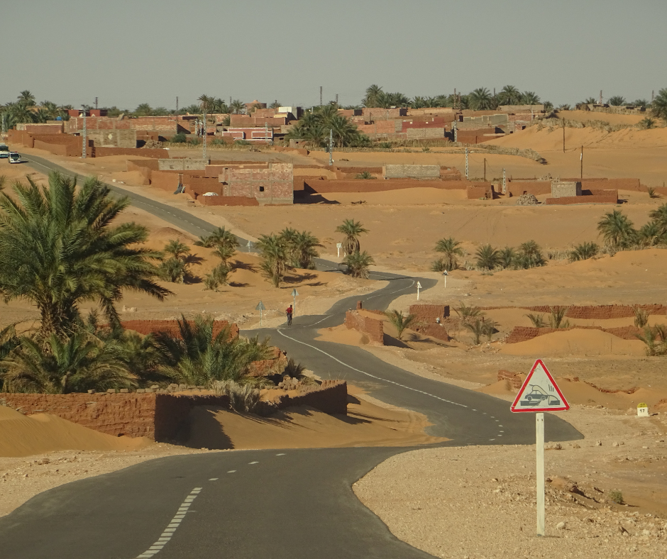 Road through a Saharan oasis village with palms and red mud-brick houses