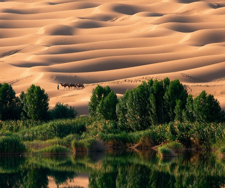 liwa-oasis-uae-hidden-gem