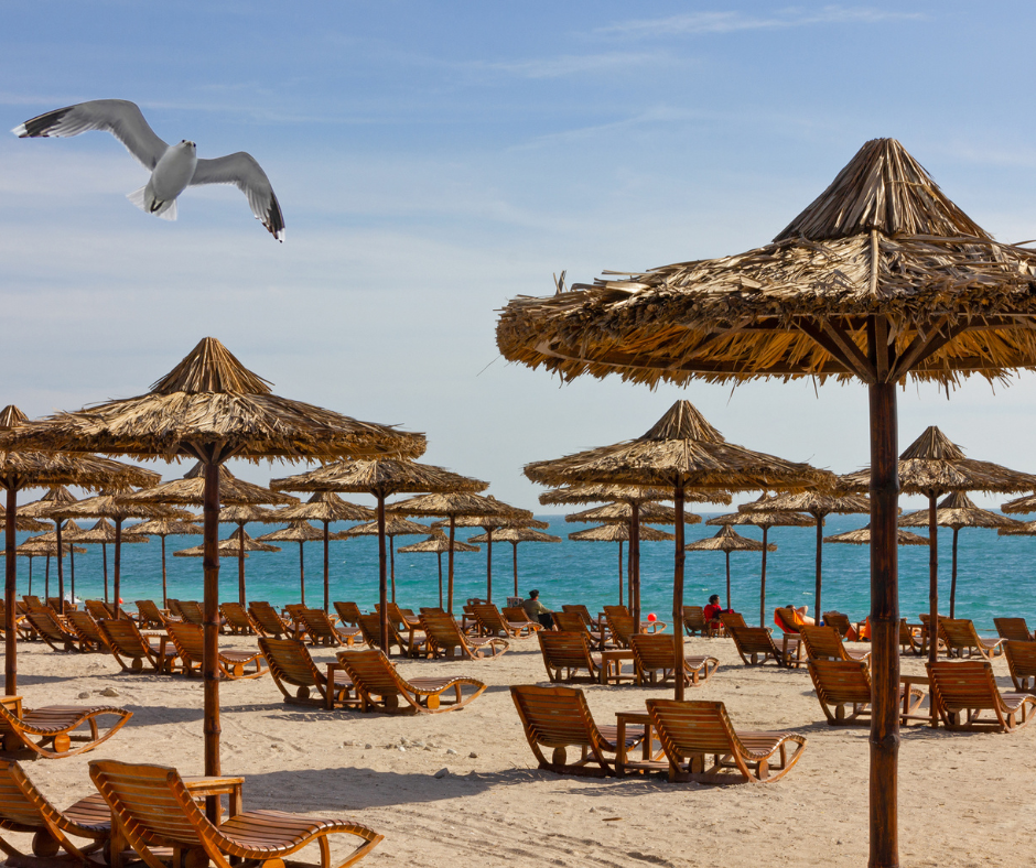 sir-bani-yas-uae-hidden-gem