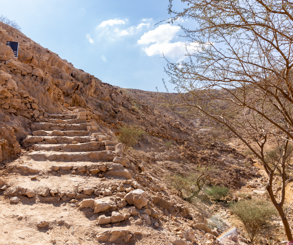 mleiha-uae-hidden-gem