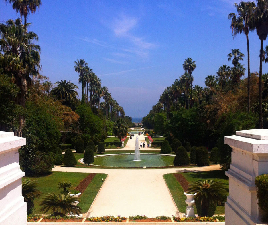 Formal garden with a central fountain and palm-lined avenues at Jardin d'Essai in Hamma, Algiers