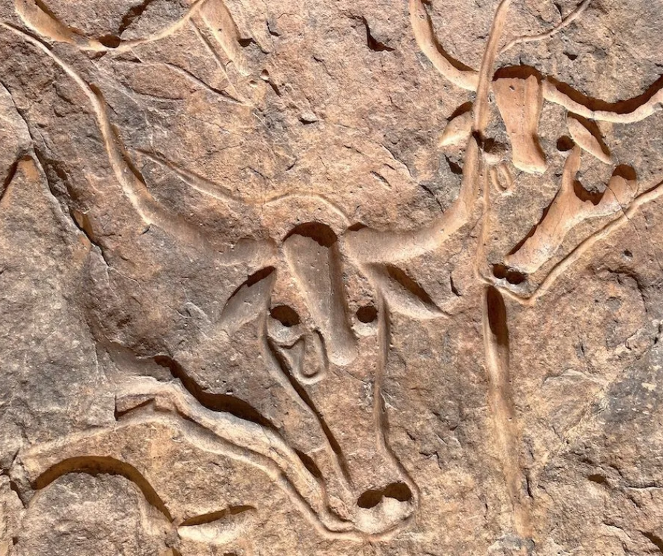 Carved rock engraving of a long-horned cow's head at Tegharghart in the Algerian Sahara