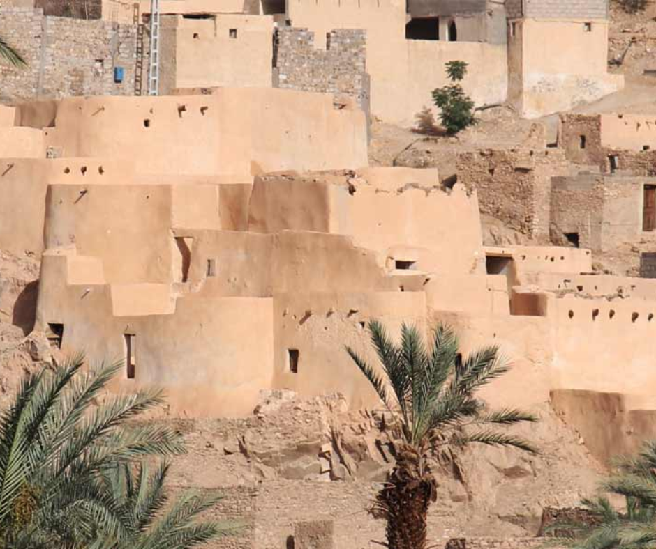 Mud-brick ksar houses beside date palms in the oasis town of Djanet