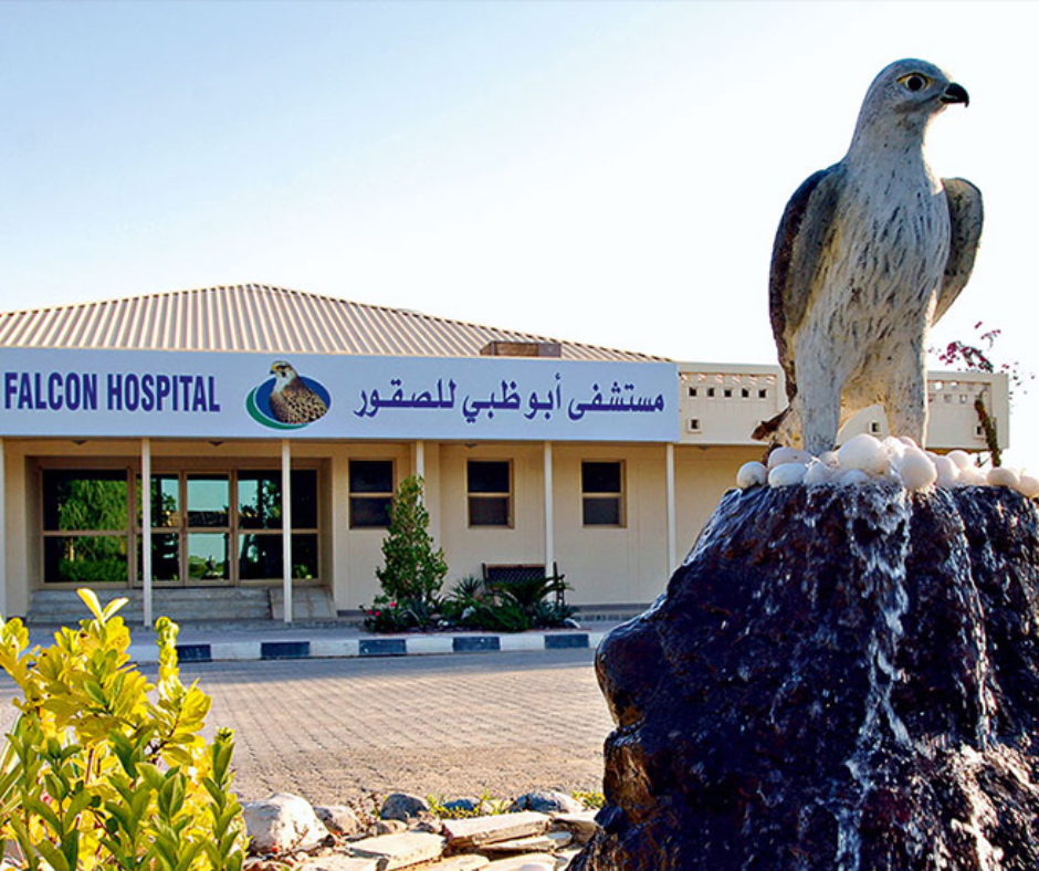 falcon-hospital-abu-dhabi