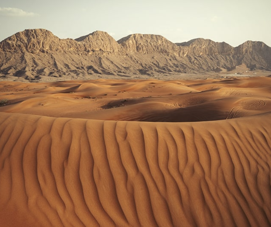 mleiha-desert-sharjah