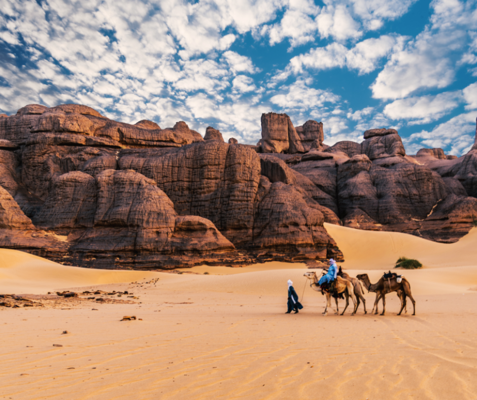 Tuareg guide leading two camels across sand below red sandstone cliffs near Djanet