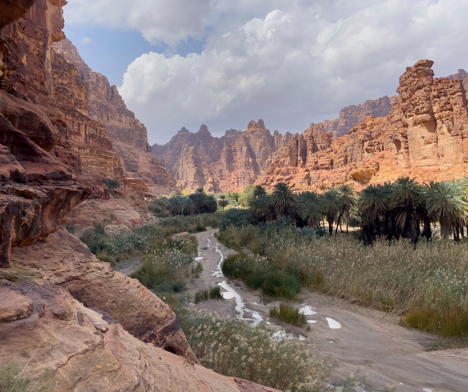 wadi-al-dissah-camping-saudi-arabia