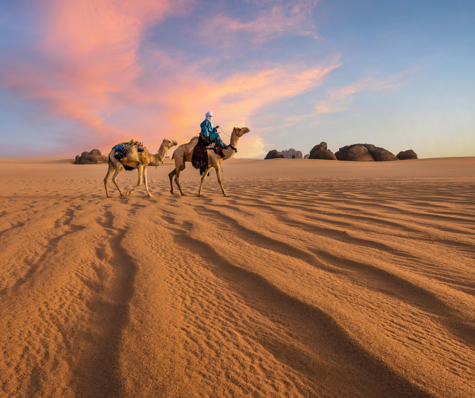 Man riding a camel followed by a second camel across rippled sand at sunset