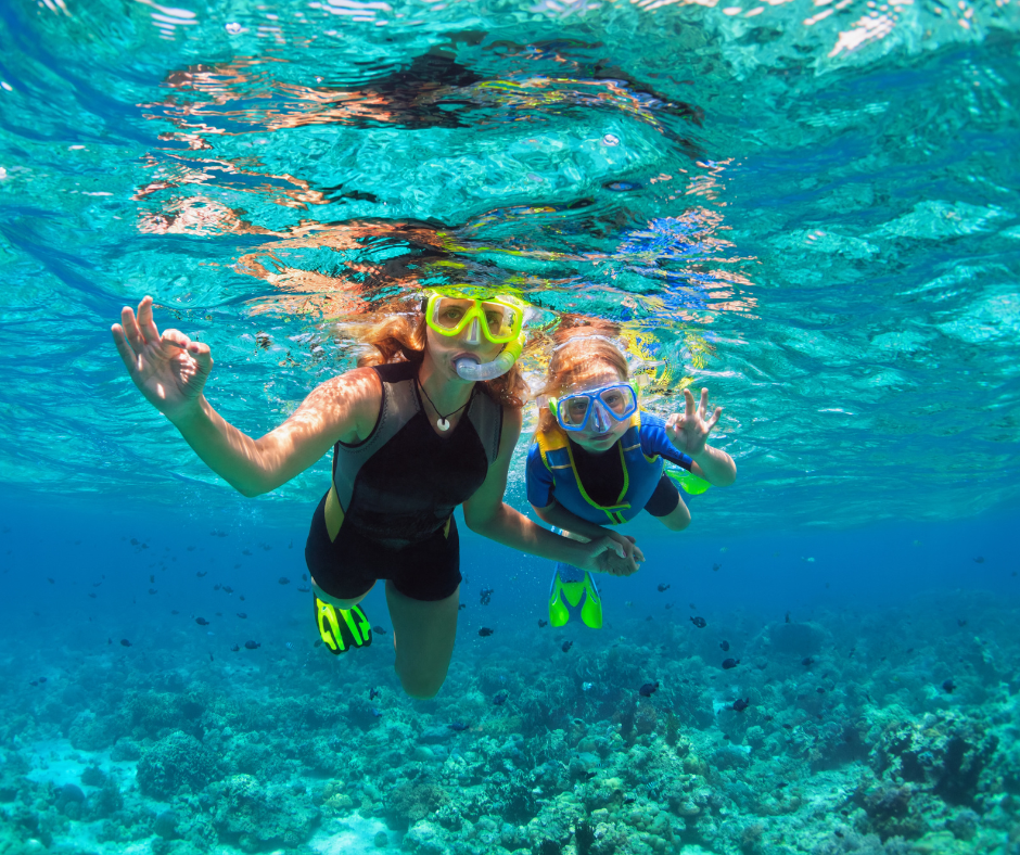 snorkelling-in-fujairah