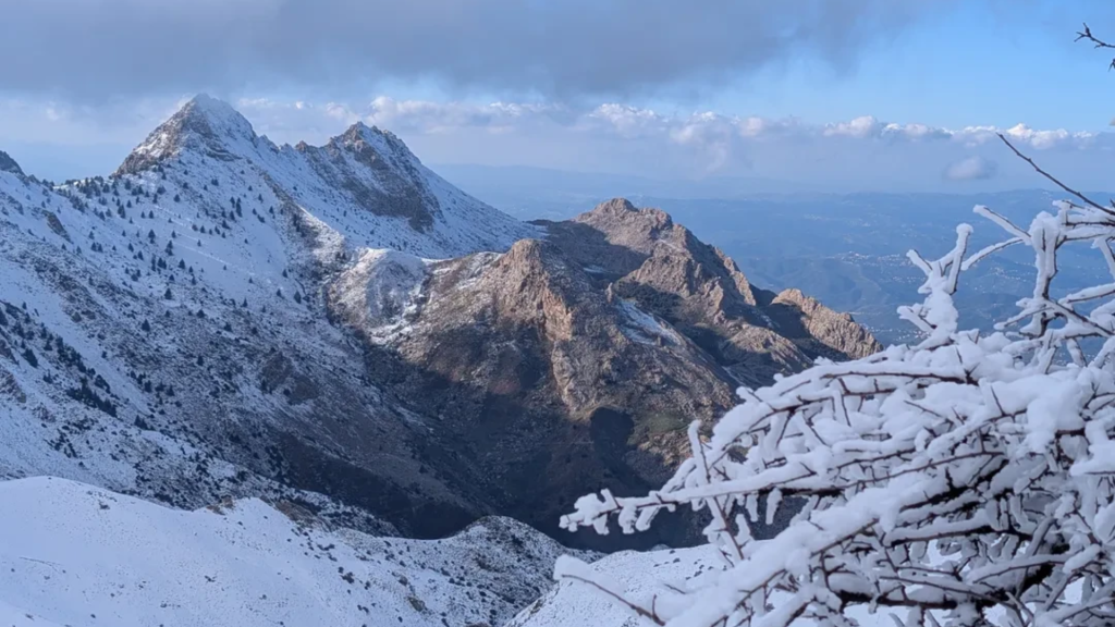Snowy ridges of the Djurdjura range seen through frost-covered branches