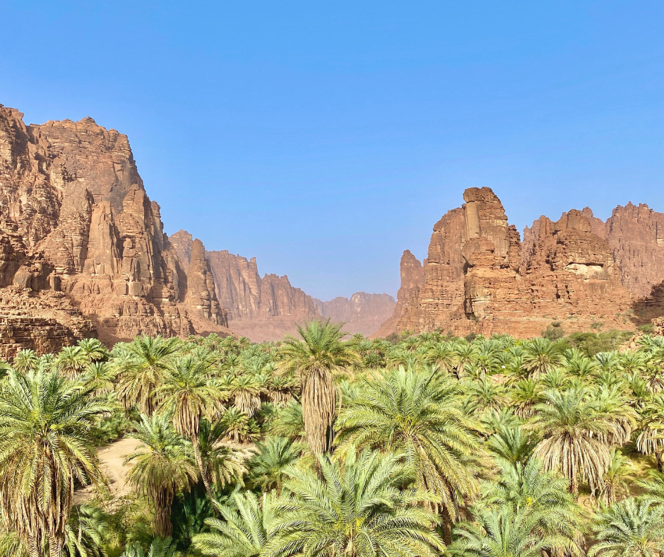 wadi-al-disah