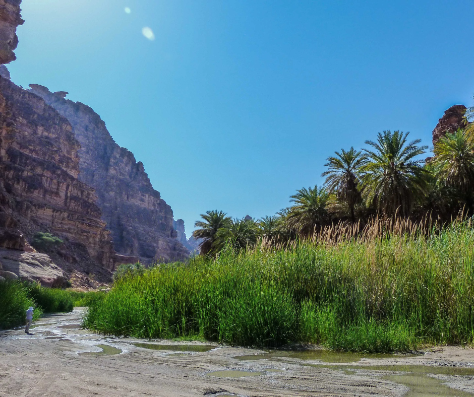 wadi-qaraqir