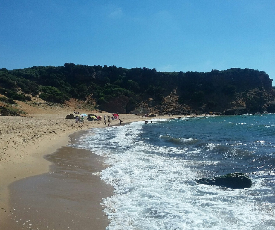Sandy beach with surf and swimmers below a dark wooded headland in eastern Algeria