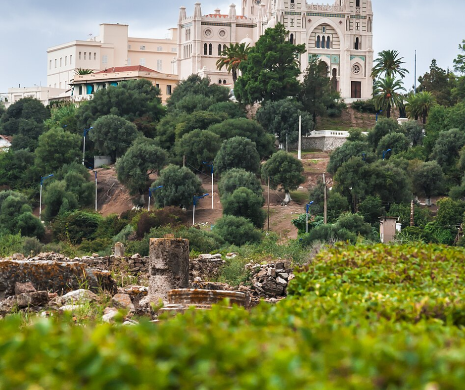 Basilica of Saint Augustine seen over green hillside and old stones in Annaba