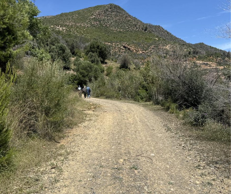 Hikers on a dirt trail below a scrub-covered slope of Mount Chenoua
