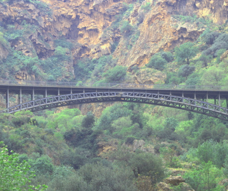 Iron arch bridge spanning a green rocky gorge near Tlemcen