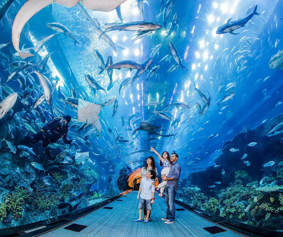 dubai-underwater-zoo