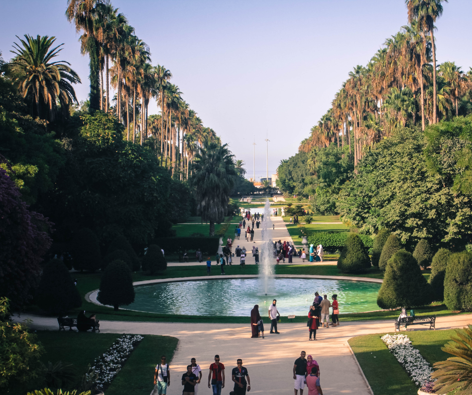 Fountain and palm-lined paths in Jardin d'Essai du Hamma, Algiers, with visitors strolling