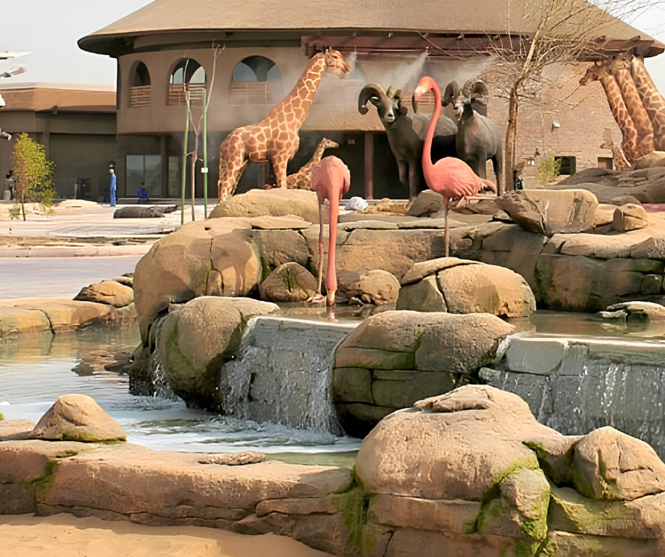 Dubai-safarai-park