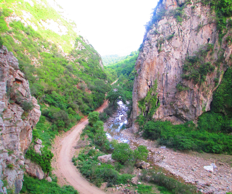 Dirt track in a green gorge below pink limestone cliffs in Taza National Park