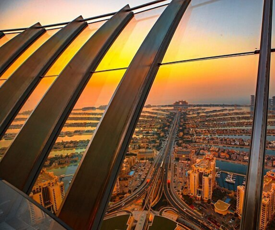 view-at-the-palm
