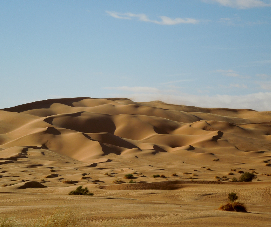 Large sand dunes of the Grand Erg Occidental under a blue sky