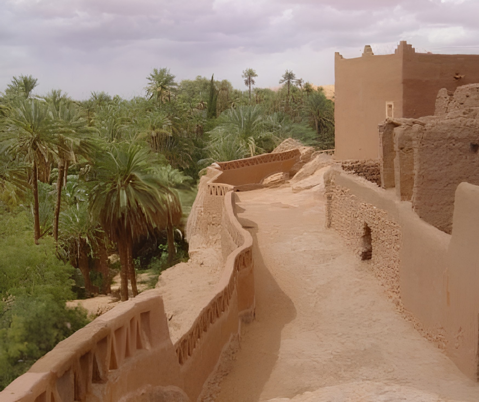 Mud-brick walkway along the old ksar beside the palm grove in Taghit