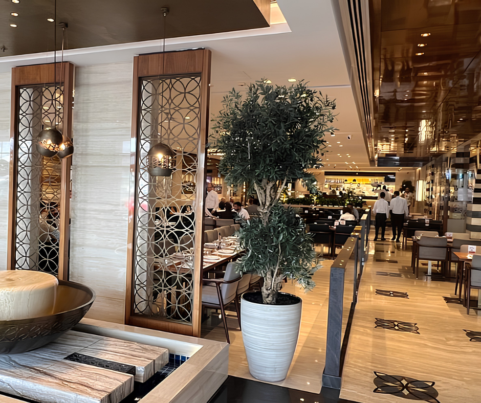 alsafadi-shawarma-dubai