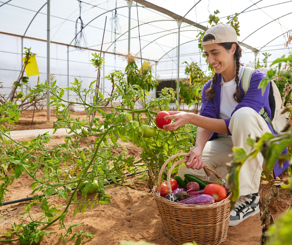 farm-activities