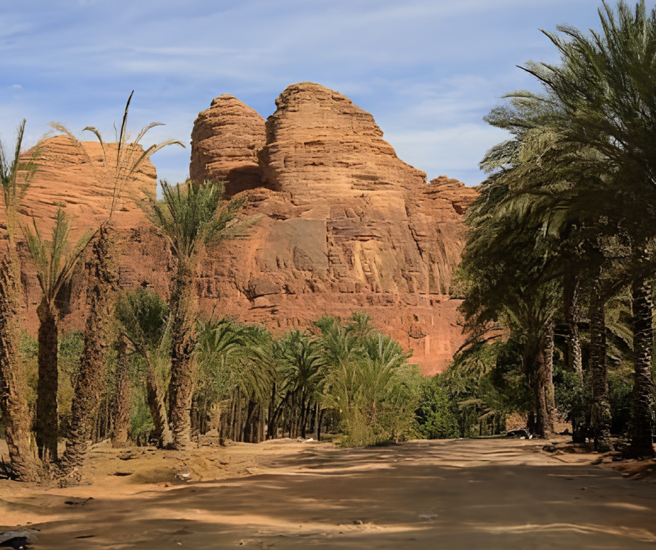 alula