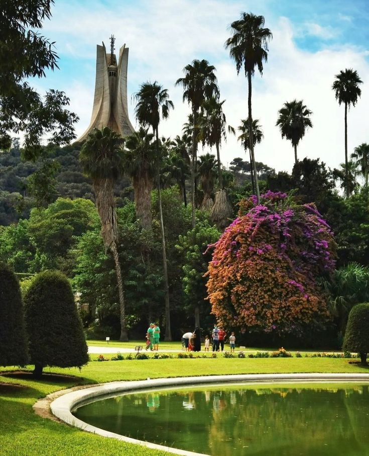 Pond, bougainvillea and palms in the Jardin d'Essai below the Martyrs' Memorial