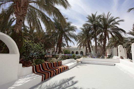 Whitewashed guesthouse terrace with striped cushions among palm trees in the M'Zab