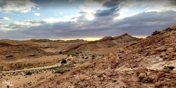 Spiritual Trip : 9 days in the Tunisian desert