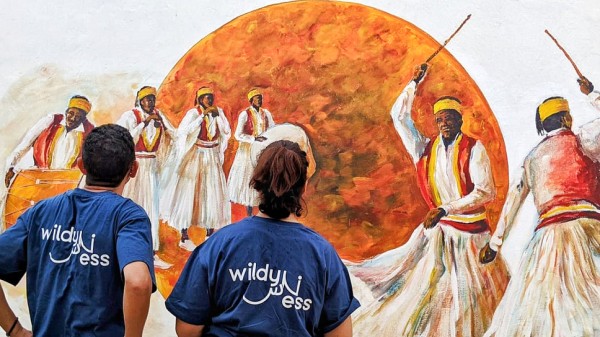 Cultural Tour in Djerbahood, Djerba
