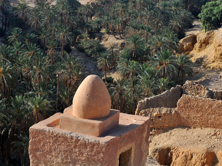 chebika oasis activities
