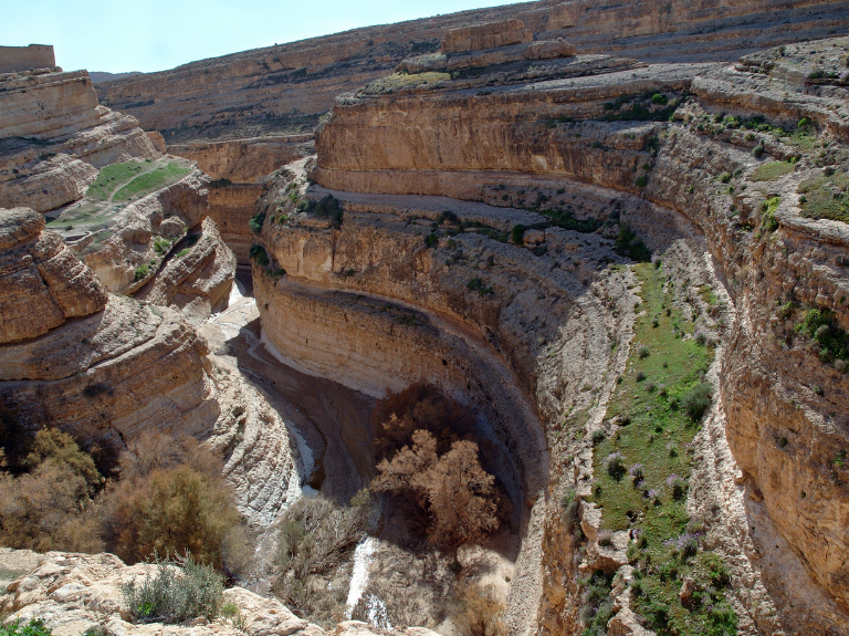 tamarza tunisia