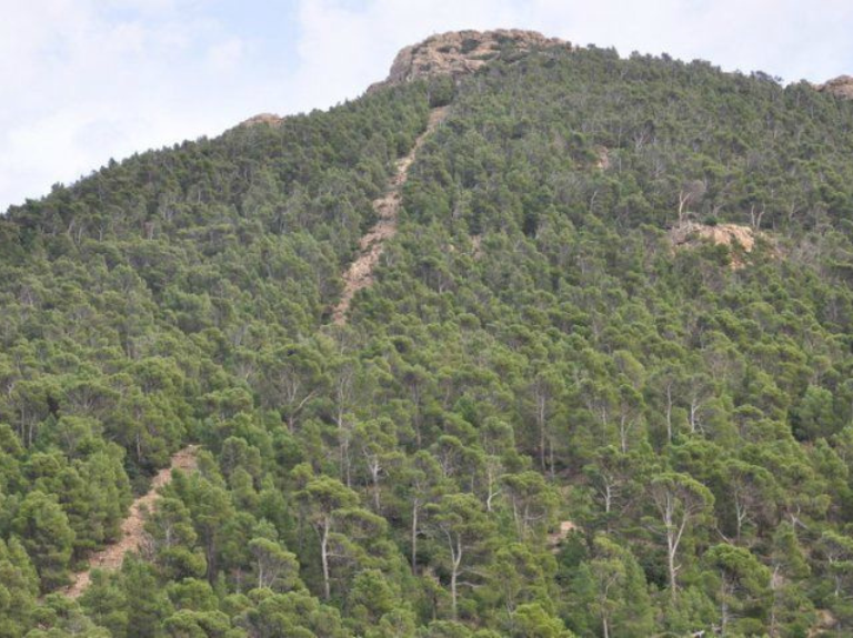 chaambi mountain tunisia
