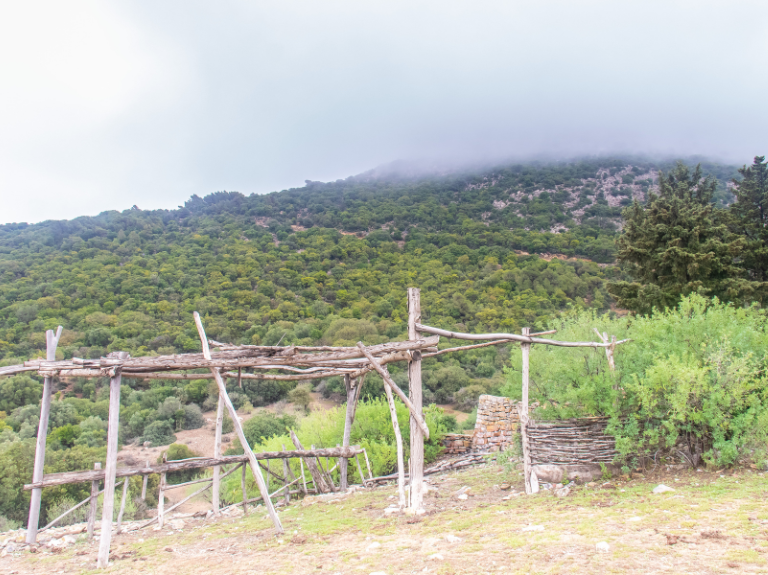 landscape zaghouan