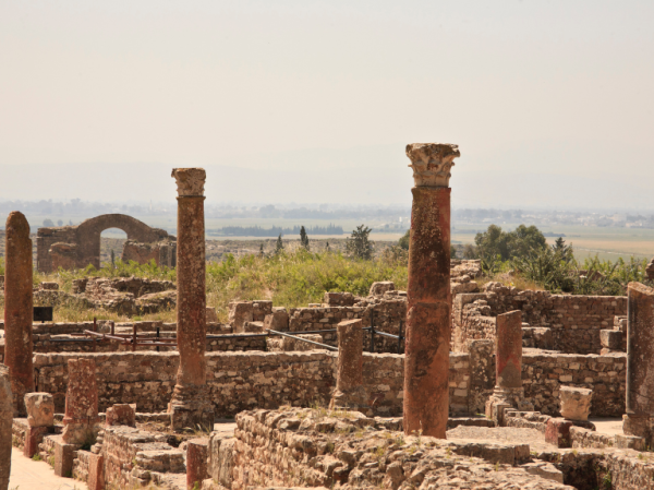 A Journey Through Time at Bulla Regia with a Private Guide